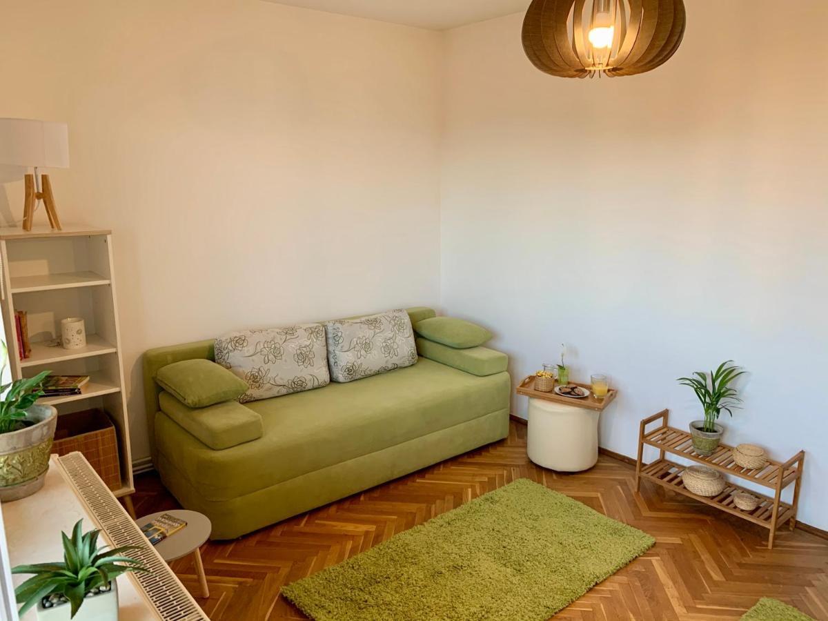 Ferienwohnung Viktory Brașov Exterior foto